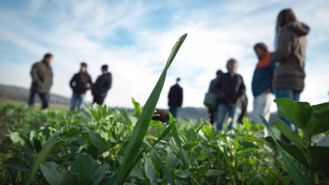 groupe agriculteurs herbes