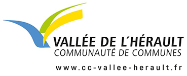 logo CCVH